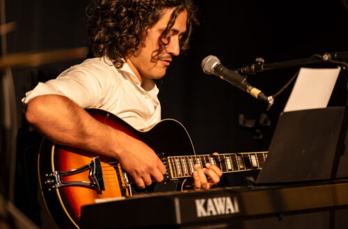 Fotografía de concierto